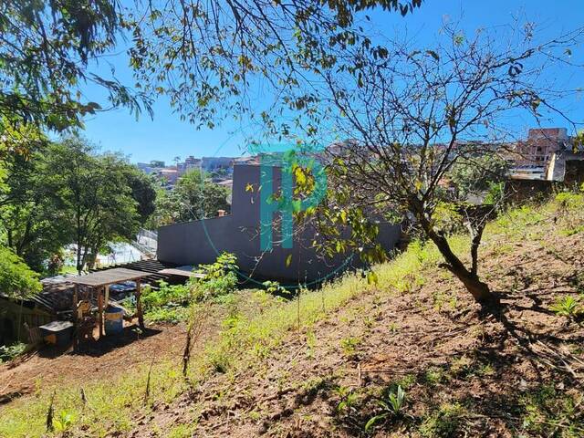 #TEV871 - Terreno para Venda em Campo Limpo Paulista - SP - 3