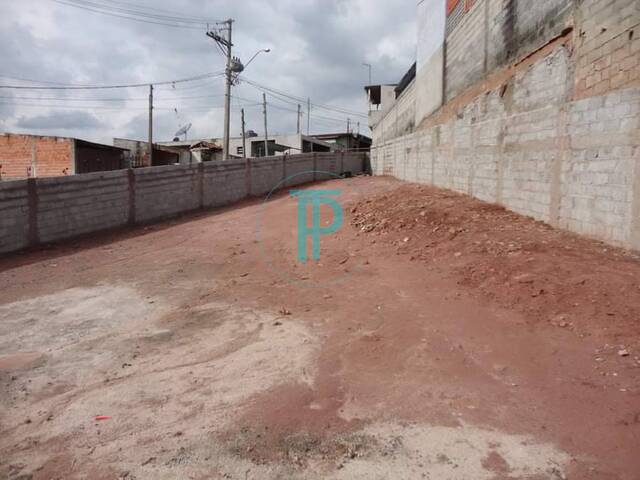 #TEV163 - Terreno para Venda em Campo Limpo Paulista - SP - 1