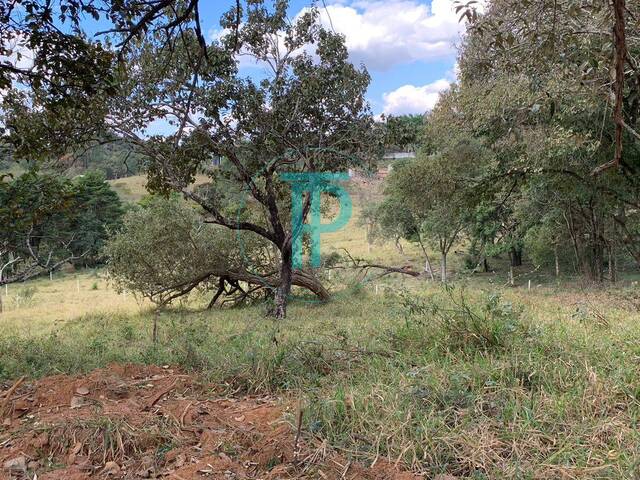 #TEV171 - Área para Venda em Jarinu - SP - 3