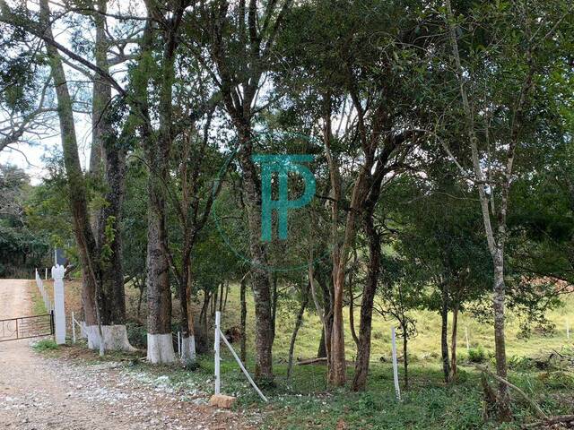 #TEV171 - Área para Venda em Jarinu - SP - 1